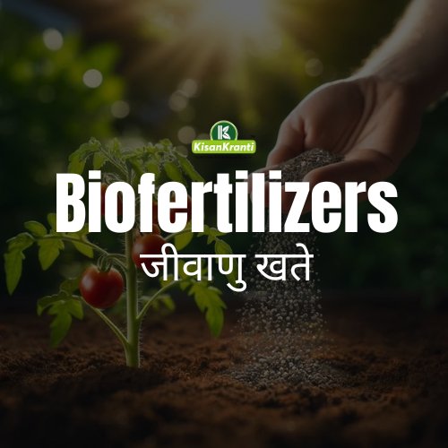 Biofertilizers