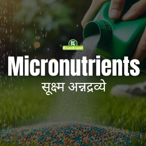 Micronutrients