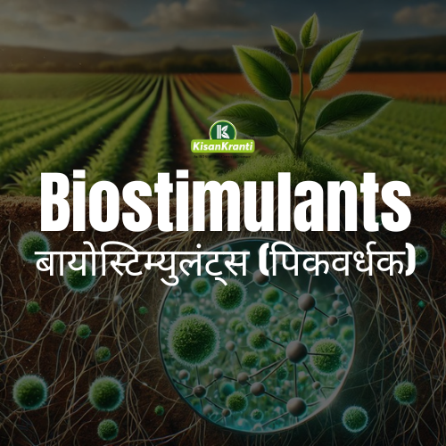 Biostimulants