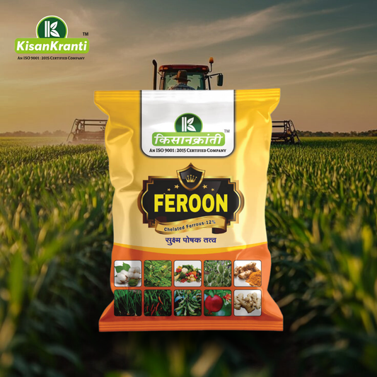 FEROON (फेरॉन)