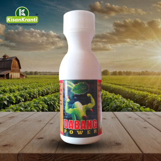 DABANG POWER / दबंग पावर