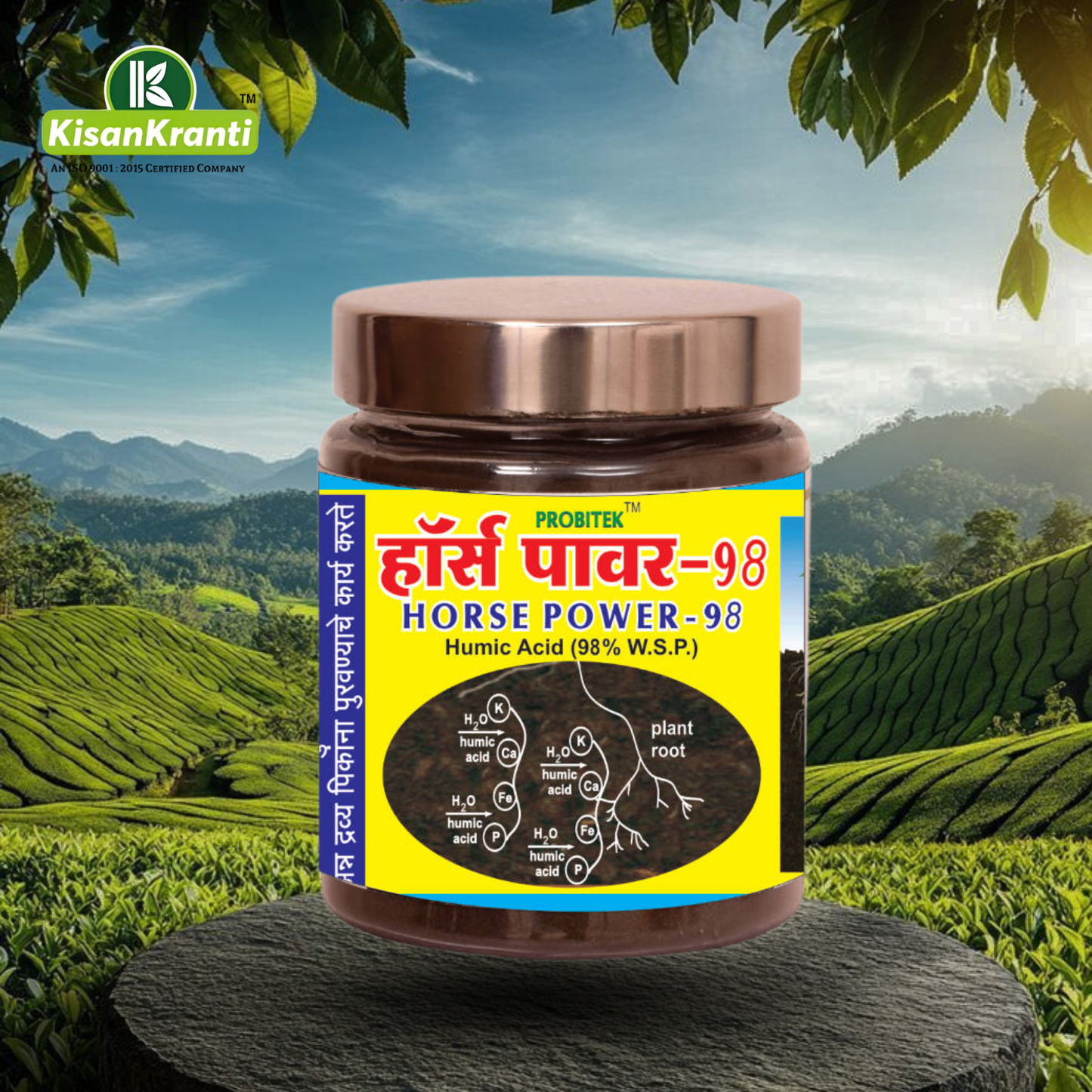 हॉर्स पावर-98 / HORSE POWER-98