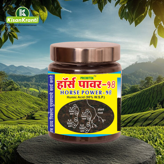 हॉर्स पावर-98 / HORSE POWER-98