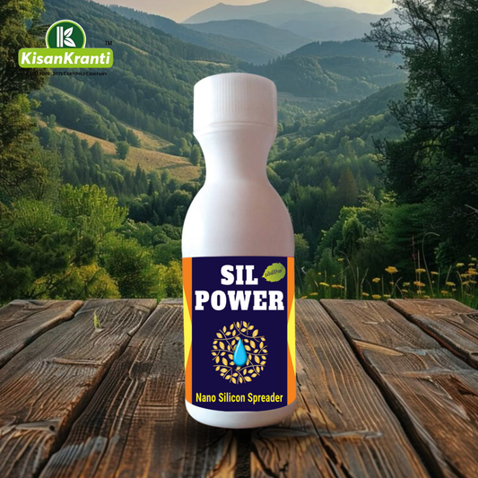 SIL POWER / सील पावर