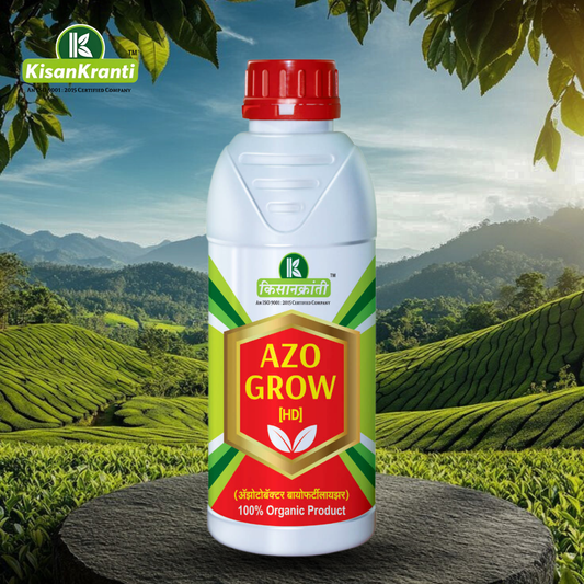 ॲझो ग्रो [HD]