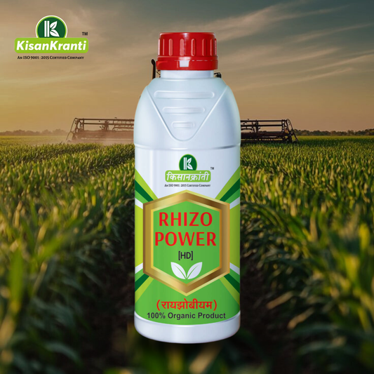 रायझोपावर [HD]