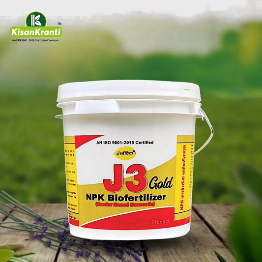 जे 3 गोल्ड