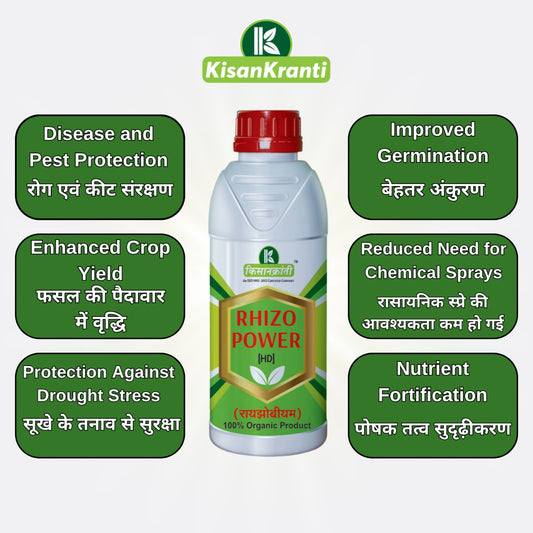 रायझोपावर [HD]