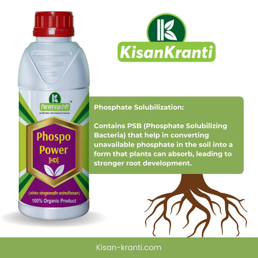 फॉस्फो पावर [HD]