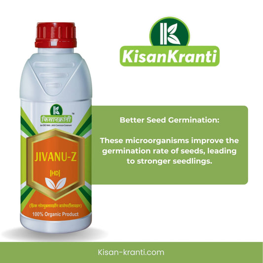 जिवाणू-झेड [HD]